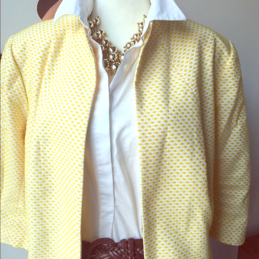 Stunning yellow jacket - gorgeous!  🌻